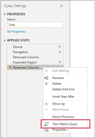 View Native Query / Ver consulta nativa