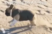 GIF